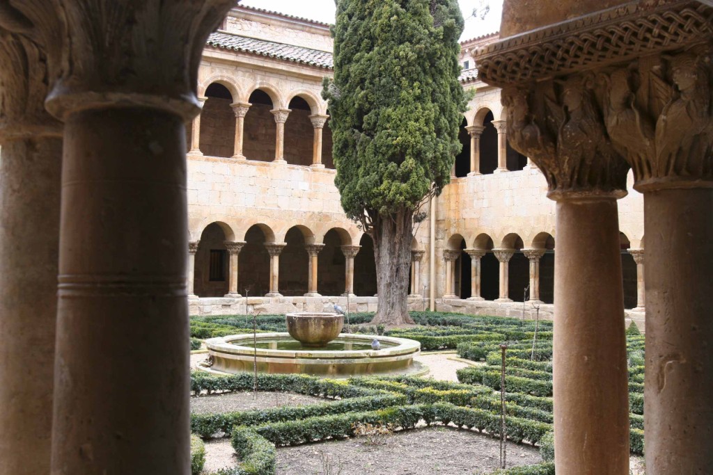 El gran ciprés de Silos al que muchos poetas han dedicado sus versos. Monasterio de Santo Domingo de Silos 13