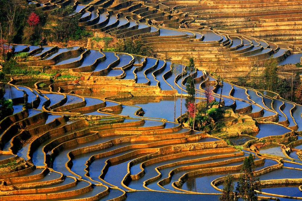 http://megaconstrucciones.net/images/naturales/foto2/yuanyang-rice-terraces-29.jpg