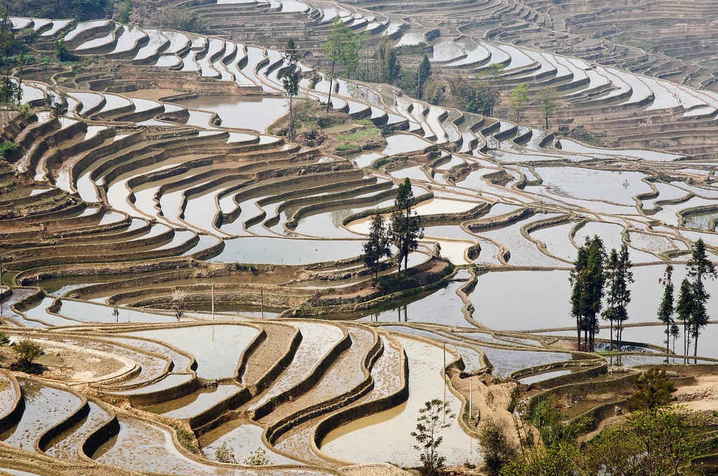 Terrazas De Arroz De Yuanyang Megaconstrucciones Extreme Engineering