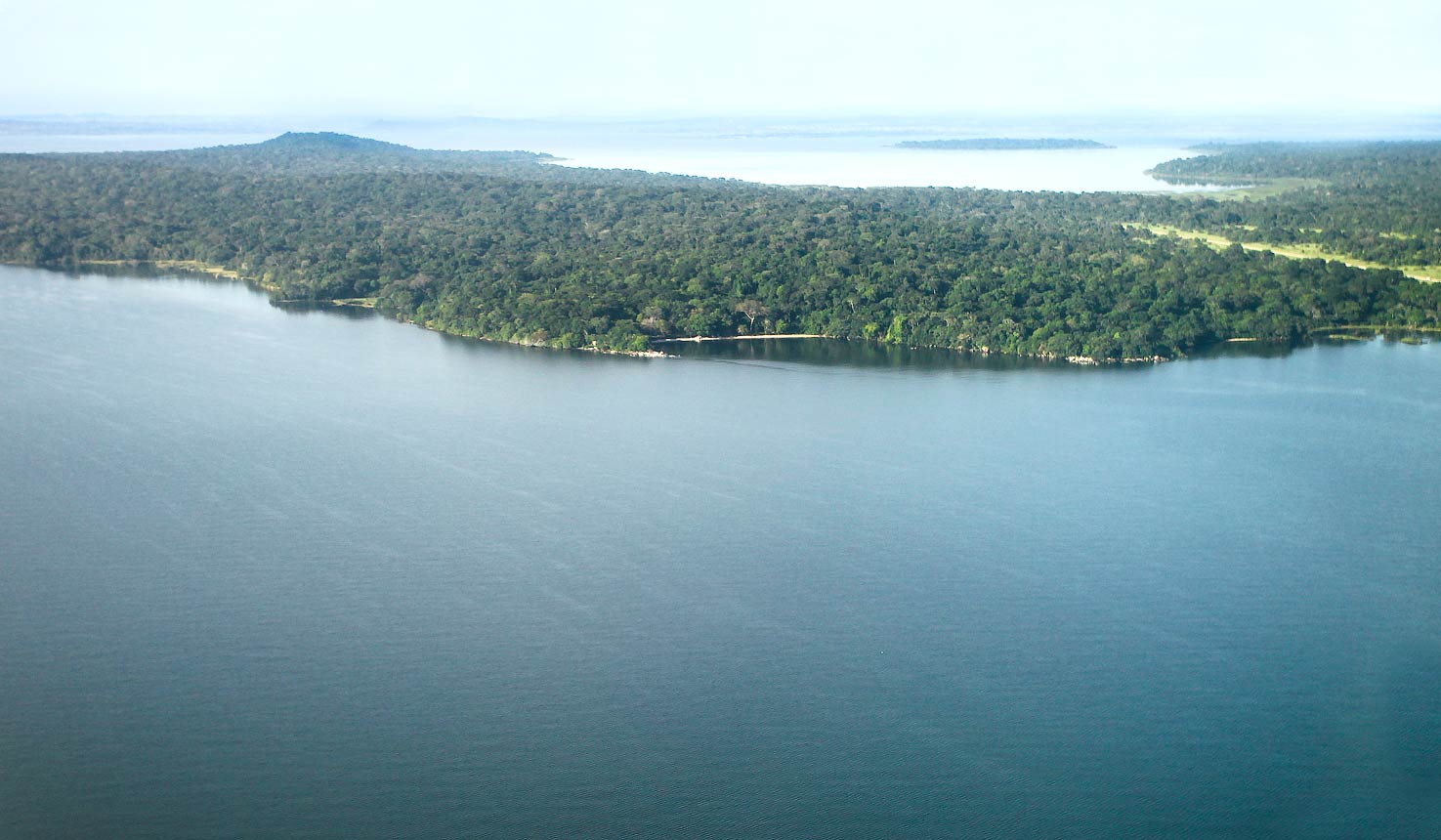 Национальный парк в Танзании озеро Виктория