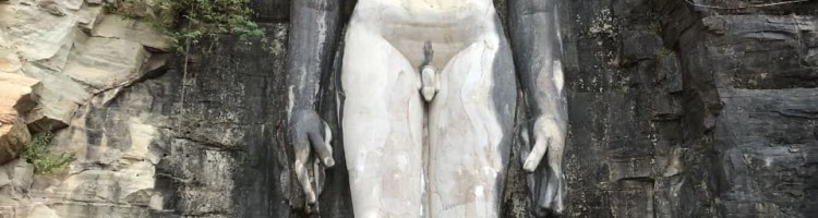 Khandagiri Cave Adinath Statue