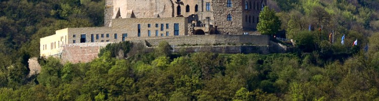 Hambach Castle Hambach Castle