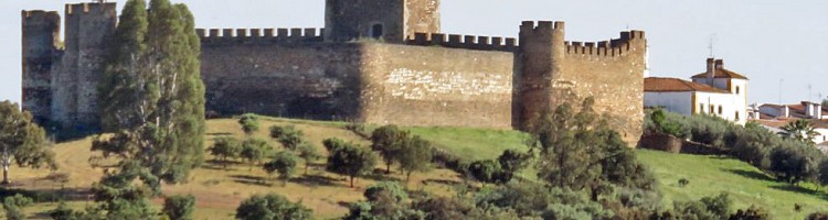 Terena Castle