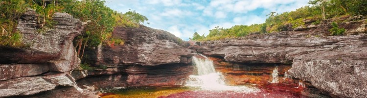 Caño Cristales Caño Cristales