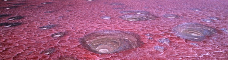 Lake Natron Lake Natron
