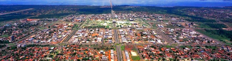 Palmas Palmas